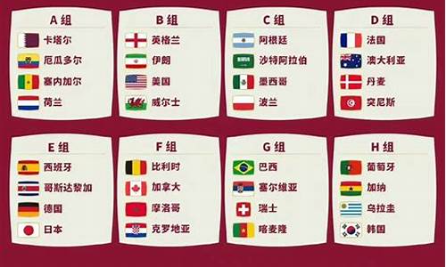 卡塔尔世界杯国家队名单_卡塔尔世界杯球队名单荷兰